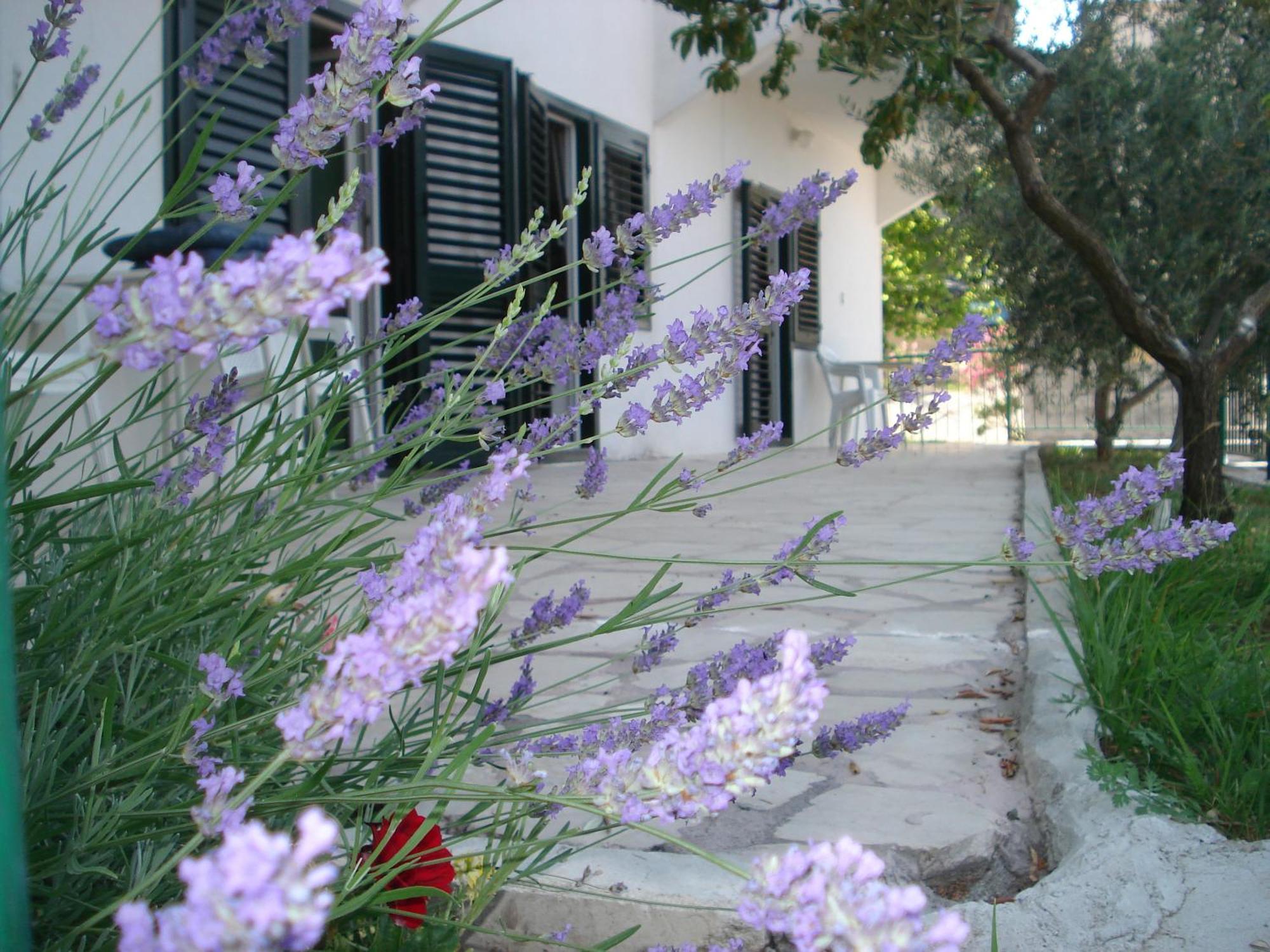 Apartments Smiljana Omis Luaran gambar